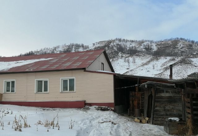 Прогноз шебалино республика алтай. Шебалино горный Алтай. Село Шебалино Алтайский край. Республика Алтай село Шебалино улица. Гостиница Шебалино Республика Алтай.