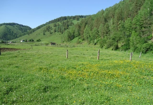 Бирюля республика алтай. Село Бирюля горный Алтай. Село Бирюля Майминский район Республика Алтай. С. Бирюли Майминский район. Объекты Бирюля.