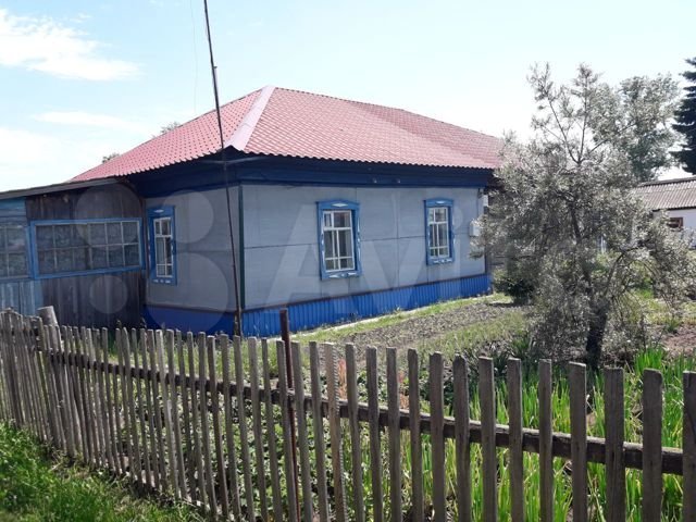 Прогноз погоды в зональном алтайском. Деревня Плешково Алтайский край.